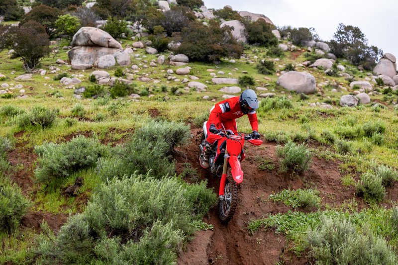 Nuevas CRF250RX y CRF450RX: Ficha Técnica