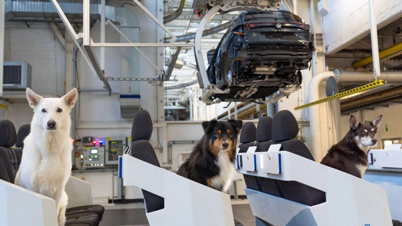 Volkswagen Tayron llega a Europa con una campaña innovadora