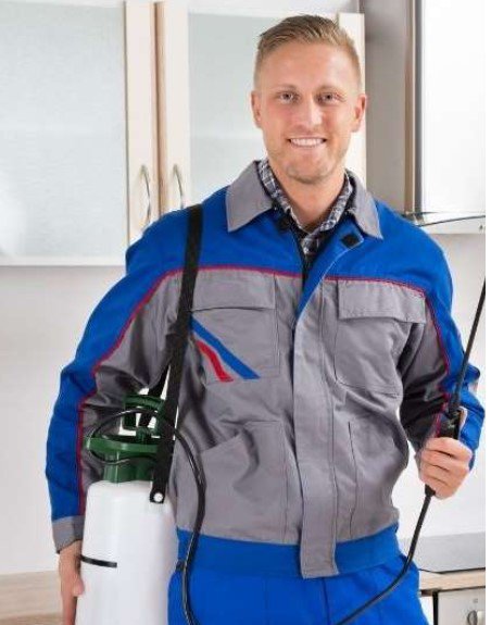 Kashi Control: Fumigación y Desinfección 24 Horas