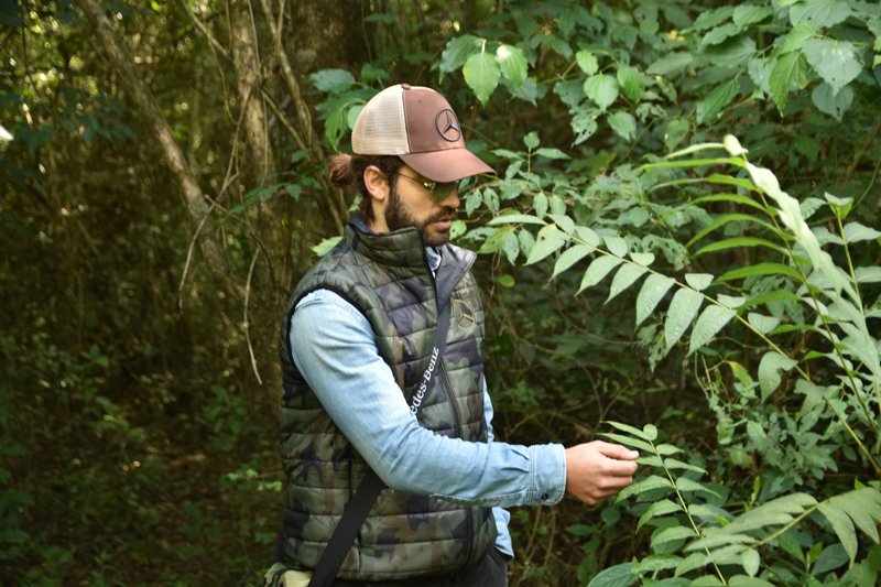 Mercedes-Benz planta un árbol por cada unidad