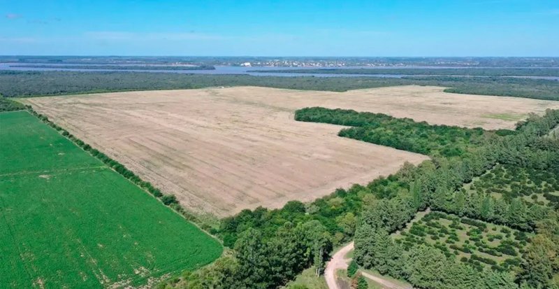 Revision de proyecto de planta de hidrógeno verde