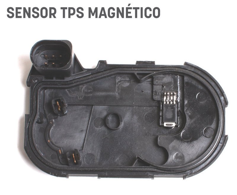 Cuerpo Mariposa: características y funcionamiento