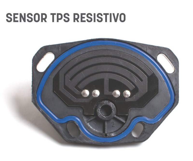 Cuerpo Mariposa: características y funcionamiento