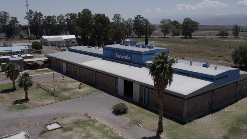 Taranto: 50 mil profesionales capacitados en Argentina