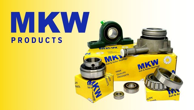 Alfa Rodamientos presenta la visión de MKW Products en 2025