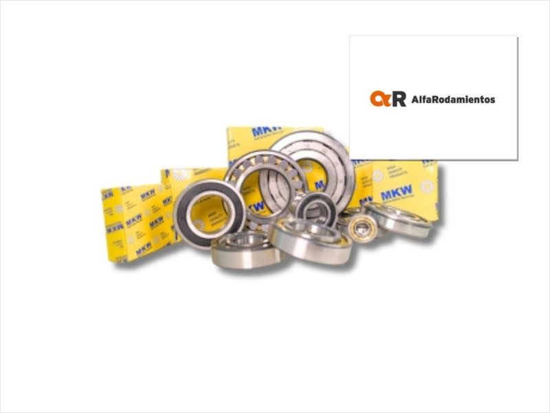 Alfa Rodamientos: 10 repuestos clave