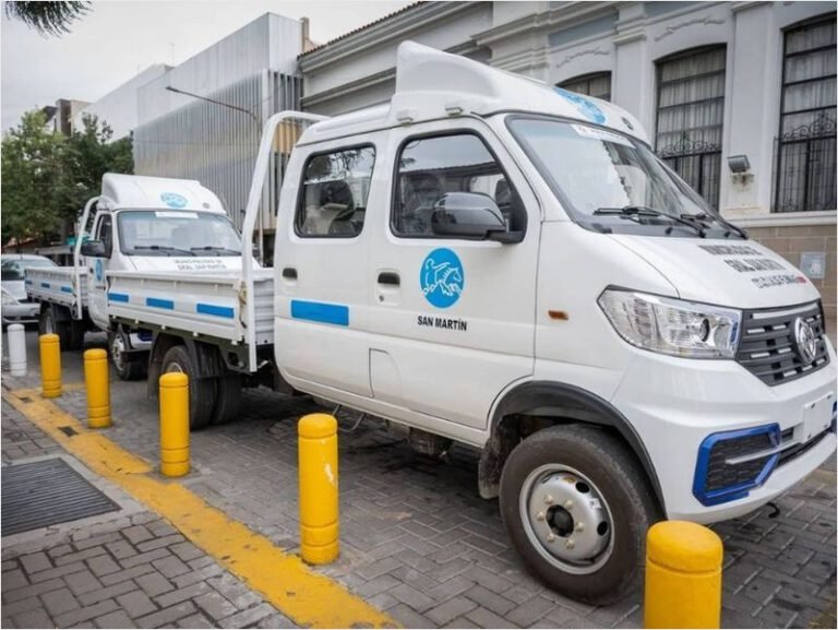 Dongfeng entrega utilitarios en Mendoza