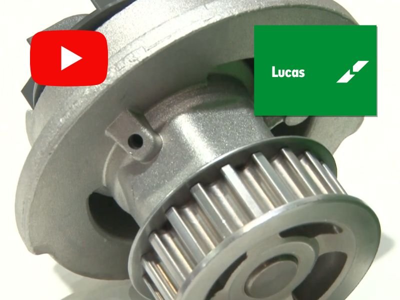 Lucas: Sistema de Distribución
