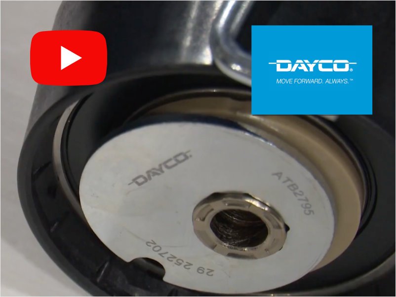 Dayco: Kit KBO 011 de Correas bañadas en aceite