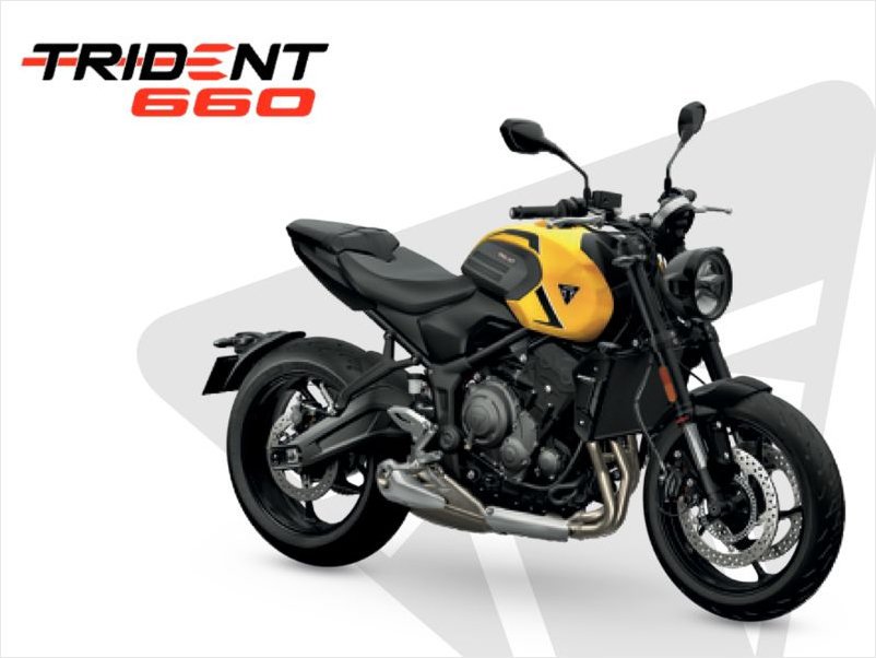 Triumph Trident 660 y 800: fichas técnicas