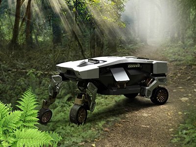 Movilidad en cuatro patas