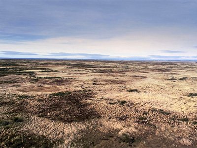 Chile tendrá la primera Planta Industrial del mundo para producir eFuel