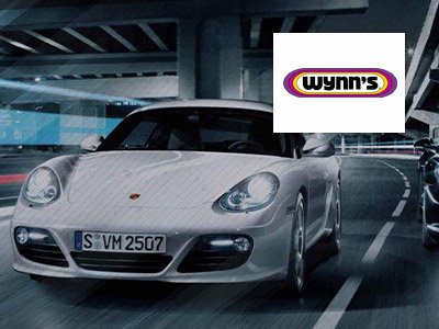 Presentacion de Producto: Línea Profesional de Mantenimiento Wynn’s