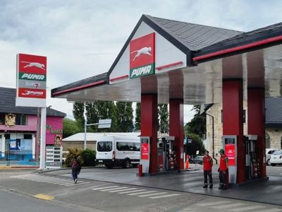 Puma Ñireco de Bariloche