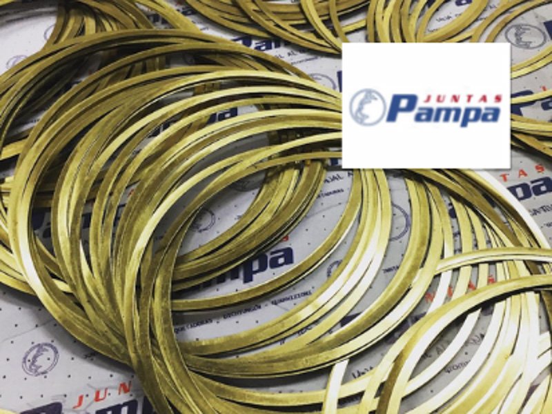 Juegos de suplementos de camisas Juntas Pampa