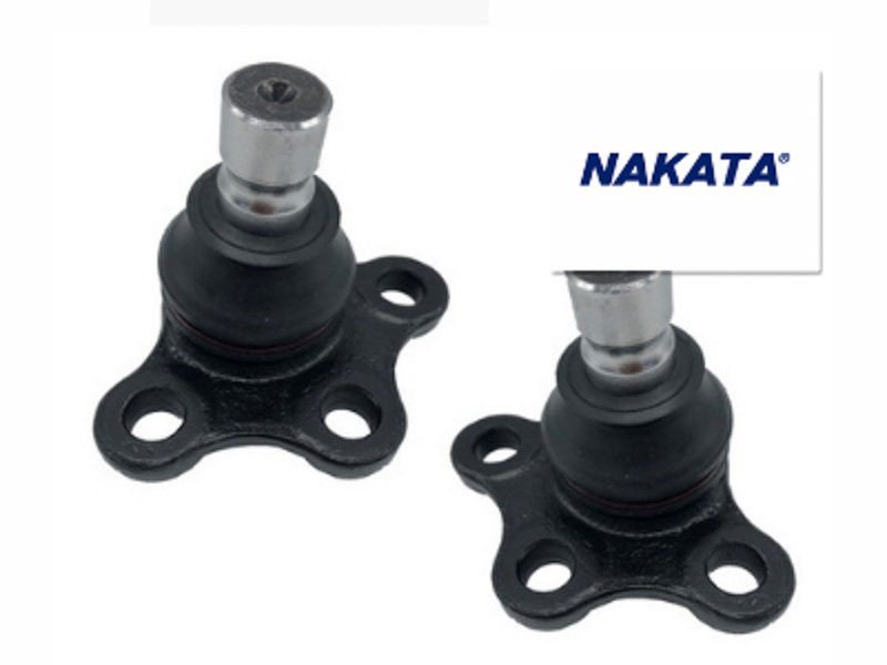 Nuevas incorporaciones de la línea Nakata