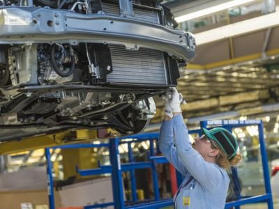 Crecimiento sostenido en la producción