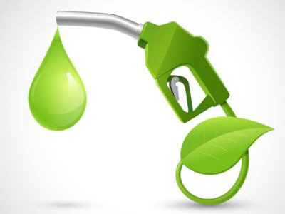 Decepción de productores de biodiesel 