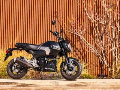 La Honda MSX125 Grom 2025 llega a Europa