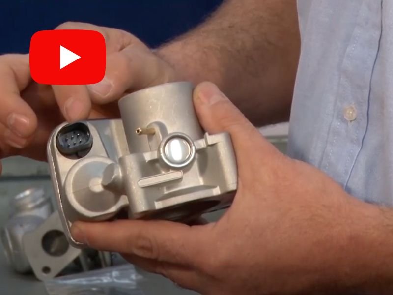 Taller Actual TV · 17 de octubre 2024