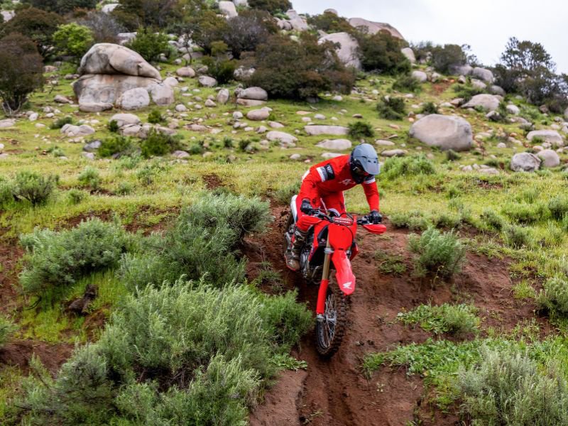 Nuevas CRF250RX y CRF450RX: Ficha Técnica