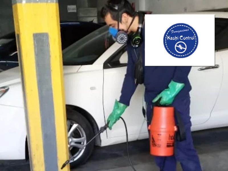 Kashi Control: Fumigación y Desinfección 24 Horas