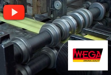 Wega: Futuro y Sucesión