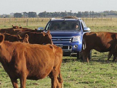 Biogás de desechos bovinos para uso vehicular