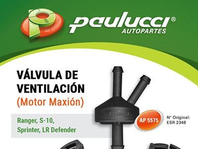 Paulucci: nueva válvula de ventilación para motores Maxion