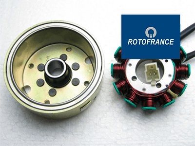 Capacitación Rotofrance: Reguladores de Tensión