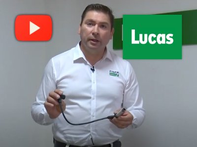 Instructivo Lucas: Control e Inspección de los Cables de Encendido