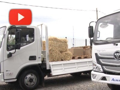 Taller Actual TV: 8 de Febrero 2019