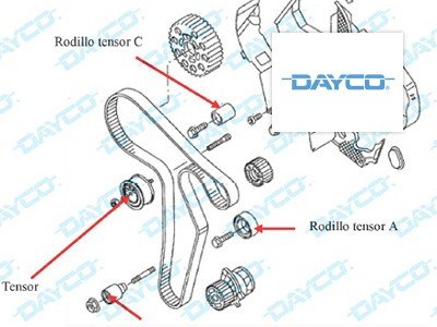 Información técnica: Dayco TI0288