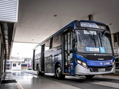 Buses de exportación